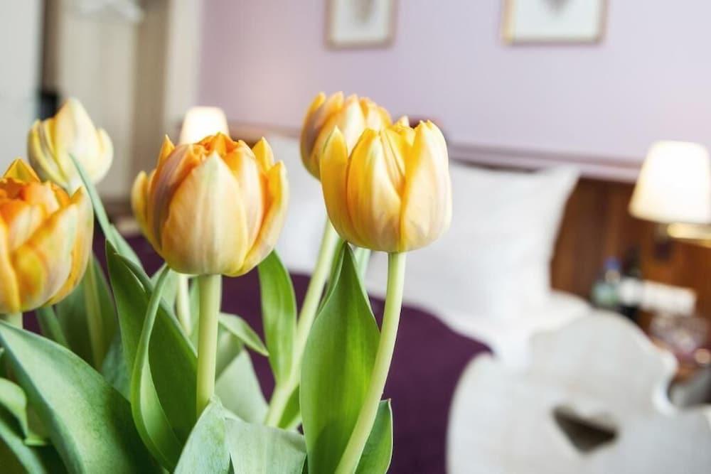 Hotel Elch Boutique نورنبيرغ المظهر الخارجي الصورة